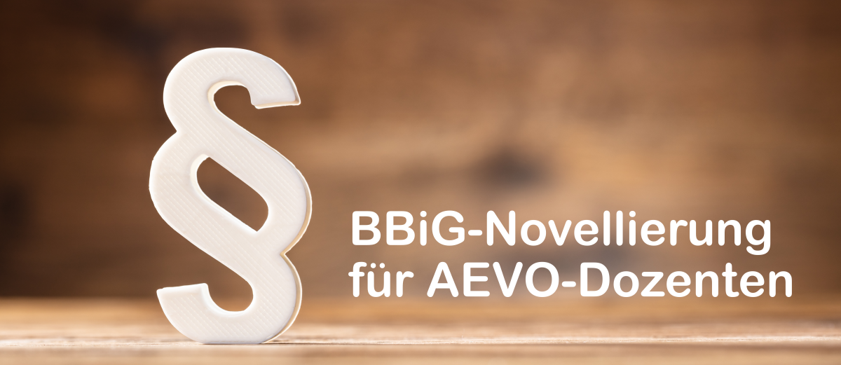 BBiG-Novellierung für AEVO-Dozenten